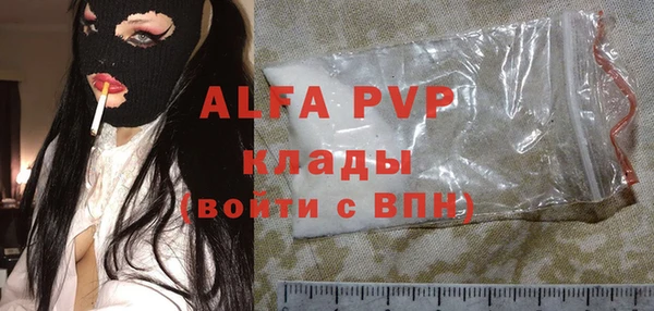 прущие грибы Козельск