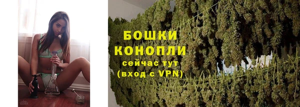 гидропоника Козловка