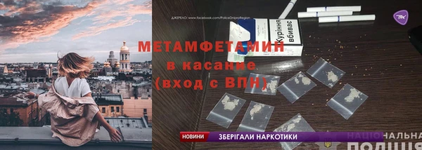 прущие грибы Козельск