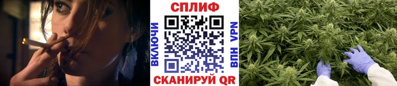 ссылка на мегу ТОР  Мурманск  Бошки марихуана SATIVA & INDICA 